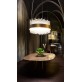 EF2232 MY LAMP