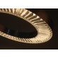 DV3906 Canopus