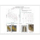 AM2158D Meta Sconce