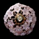 IQ2846 LARGE VENINI CHANDELIER