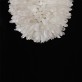 IQ2856 CLEAR GEODE QUARTZ CRYSTAL CHANDELIER PENDANT