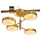 IQ2930 ROTATING ARMS CHANDELIER