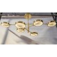 IQ2930 ROTATING ARMS CHANDELIER