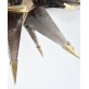 IQ2949 SMOKY FLUSH MOUNT