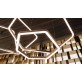 IQ2974 POLYGONAL RING