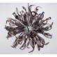 AM6004P IRIS APOLLO
