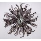 AM6004P IRIS APOLLO
