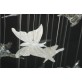 AM7765 Papillon Butterfly