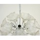 DV5519 Clear Flowers Sputnik