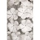 KA1341 MAZZEGA FLOWER BALL 