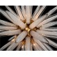 SJ2098  GLASS SPHERE 