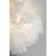 IQ2059 EVE RIBBON
