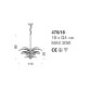 IQ2117 CRYSTAL PALM 