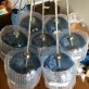 AM2218 BOUQUET GLOBE CLUSTER 