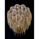 CHAIN042 PROTEA 