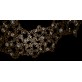 AM4244 LUSTROUS AURA  