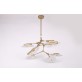DV5612 Branching Disc