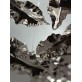 JT251 ELLIPSE LEAF 