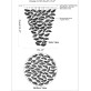 JT251 ELLIPSE LEAF 