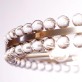 SJ2042 CLOVER CHANDELIER