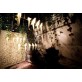 QZ8113 PERCH BIRD CHANDELIER