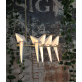 QZ8113 PERCH BIRD CHANDELIER