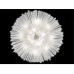 SJ2083 DIAMANTINA