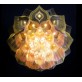 QZ2338 LOTUS MANDALA