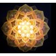 QZ2338 LOTUS MANDALA