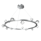 QZ2348 STELLA RADIAL 