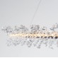 QZ2479 CADENZA
