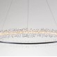 QZ2479 CADENZA