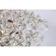 AM5900G  Hexagonal Clam  