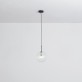 IQ8017 DRIES GLOBES