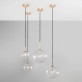 IQ8017 DRIES GLOBES