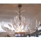 KA1800 Lucite Antlers