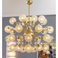 QZ3907 CHAMPAGNE