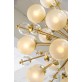QZ3907 CHAMPAGNE