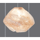 QZ6615  QUARTZ