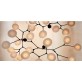 WM2063 Branching Disc Chandelier