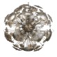 WM2135 Constellation