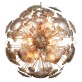 WM2135 Constellation