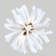AM89049 EMMY CHANDELIER