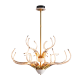 IQ8137 ANTLER'S HORN