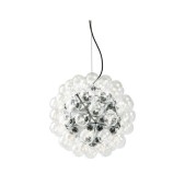 JK049 Taraxacum 88