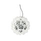JK049 Taraxacum 88