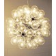 JK049 Taraxacum 88