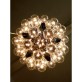 JK049 Taraxacum 88