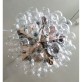 JK049 Taraxacum 88