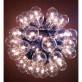 JK049 Taraxacum 88